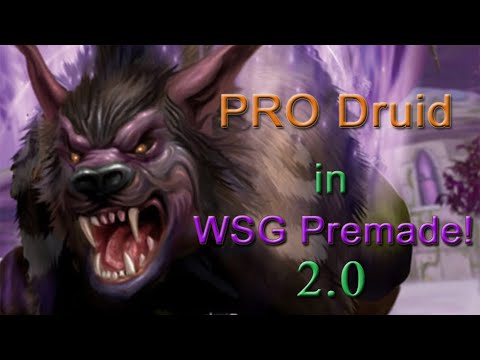 Pro druid in WSG premade 2.0 (WoW Classic Druid PvP)