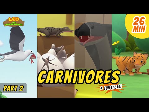 Witness21 Editor  2020 09 11