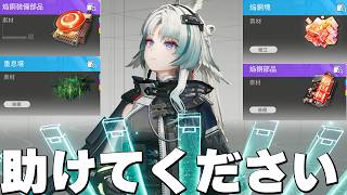 誰が考えたんですかこれ【エンドフィールド】