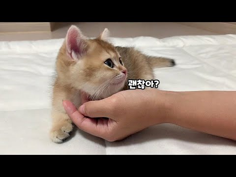 아이콘