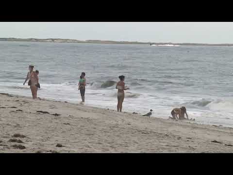 Long Island Shark Attack