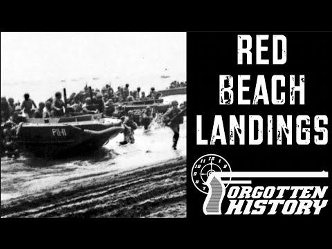 Guadalcanal's Red Beach Landing: America's First Offensive in WW2