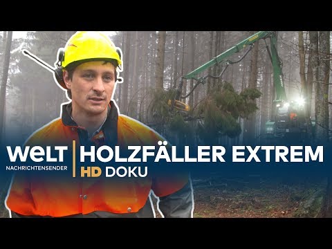 Knochenjob HOLZFÄLLER - Extremer Einsatz am Limit | HD Doku