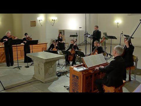 Konzert 13.2.22: «...so werden wir sein wie die Träumenden»–Wunderwelt geistl. Kantate im Frühbarock