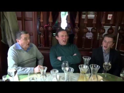 Branko in Matej Mešl & Brane Klavžar & Janez Dolenc-Pod Poncami (v živo)