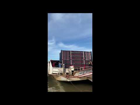 F monster cachorrona mega truck em praia  Filadélfia.