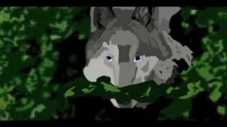 Of Wolves and Vibrancy (2006 - Project Manager)