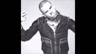 Chris Brown   W T F I M L