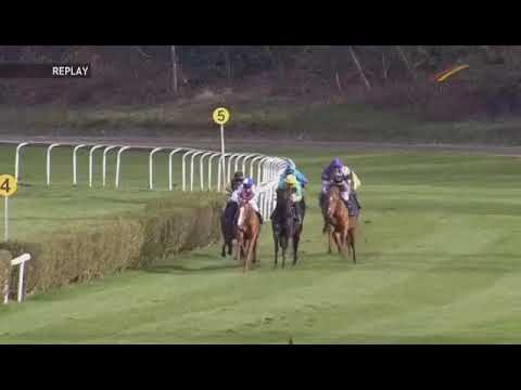 Preis des Gestüts Ittlingen