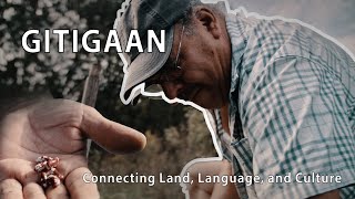 Gitigaan: Exploring Anishinaabe Heritage Through Gardens