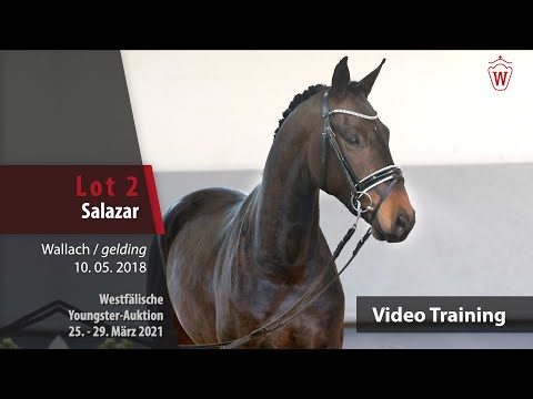 Westf. Youngster-Auktion 25. - 29. März 2021Trainingsvideo Lot 2 Salazar v. San Amour I-Fürstenball