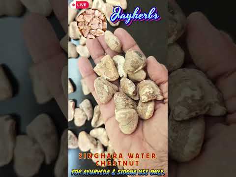 Chestnut Dry Singhara