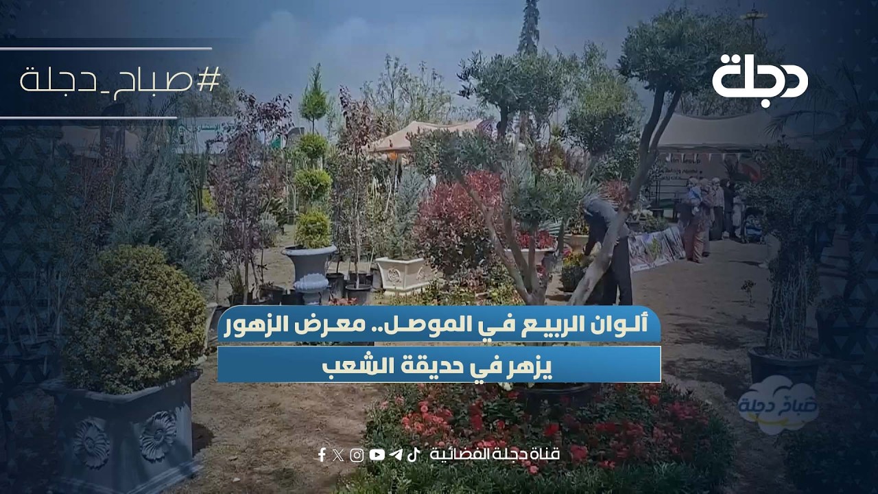 فيديو | ألوان الربيع في الموصل.. معرض الزهور يزهر في حديقة الشعب