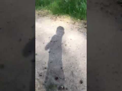 Djungel vandring part 1