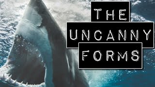 True Scary Shark Attack Stories | The Uncanny Forms