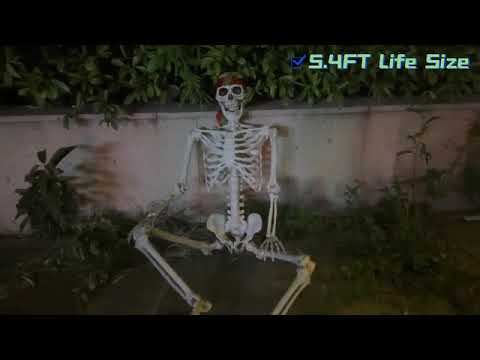 Skeleton Bed Sheets