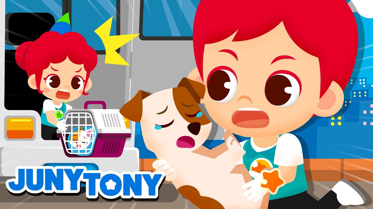 Os Direitos dos Animais | Proteja os Animais | Música Infantil | JunyTony em Português