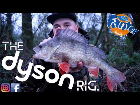 The Dyson Rig- A Devastating Perch & Eel Rig