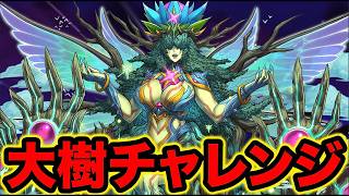 【パズドラ】大樹チャレンジ固定チーム残り2時間でクリア出来るか！？【スー☆パズドラ】