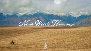 The Middle - Trampled By Turtles