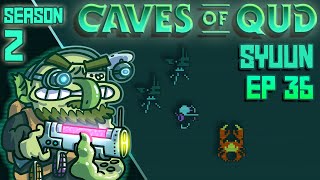 Caves of Qud - Season 2 - Syuun - Ep 35 - Thirty Strata underground