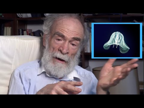 Misha Gromov -- An interest in everything