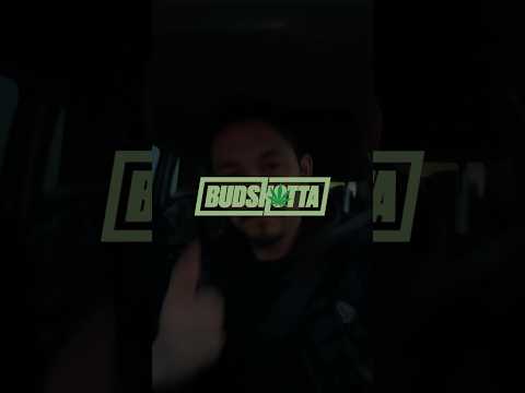 Morty x X4 x JAX x Messe - HIGH LIFE #dnb #420fam #420