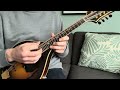 Solo mandolin arrangement of Bill Frisell - "Gimme a Holler"