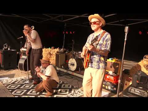 Dusty Dave and the Heart Attacks -  Madman Blues (John Lee Hooker Cover)