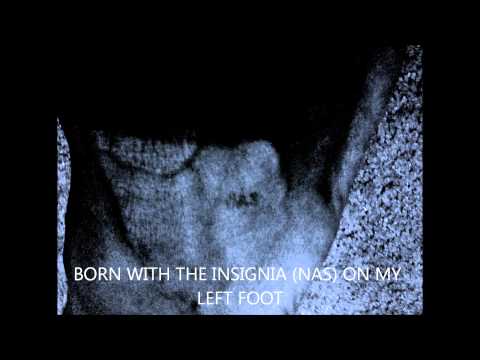 3-21-13 FINAL (NAS) MOVIE