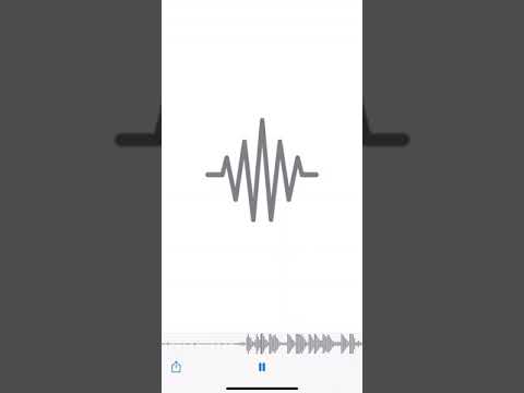 SAIM x CAN leben leak!!!