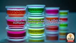 Descubre dos hipótesis fascinantes sobre los sueños que han capturado la atención de la comunid...