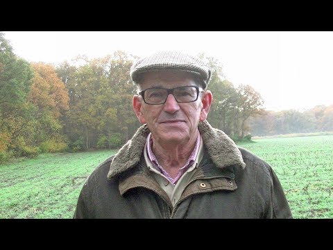 Er is poep aan de knikker in de mestwereld