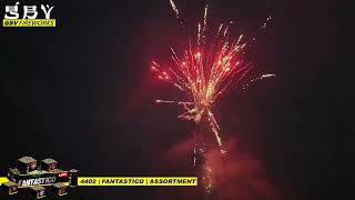 Fantastico - EXPORTmeister - GBV WECO - Vuurwerk.nl - 4402