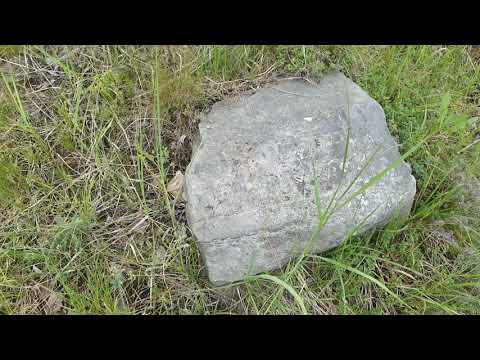 Abandoned Jewish cemetery at Brzeziny, Poland