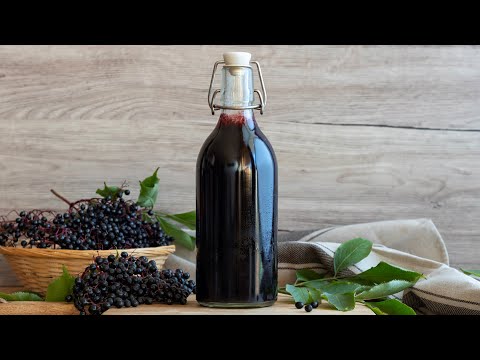 download lagu mp3 mp4 Elderberry Syrup For Drinks, download lagu Elderberry Syrup For Drinks gratis, unduh video klip Elderberry Syrup For Drinks