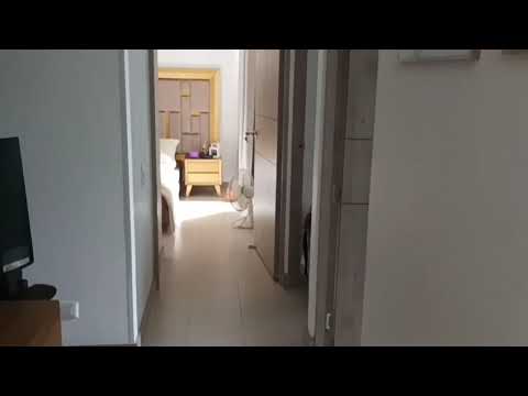 Apartamentos, Venta, Valle del Lili - $520.000.000