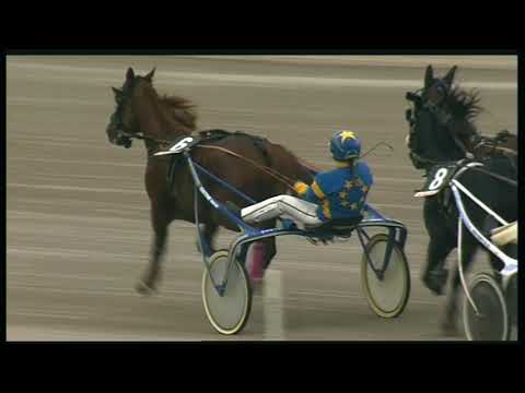 Trotto 24/10/2020 - 2ª corsa