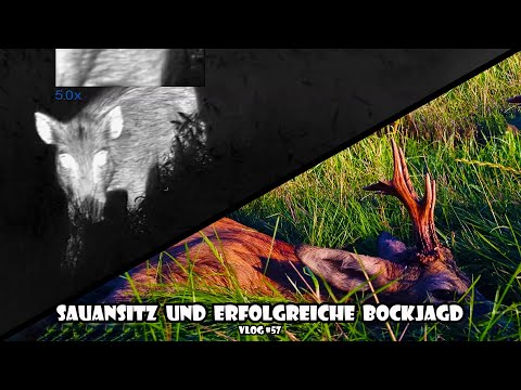 Wild boar stand and successful buck hunt / RevierLeben // Vlog 57