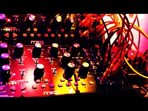 Sequenced Jam 0.3 (Make Noise 0-Coast and Moog Mother-32)