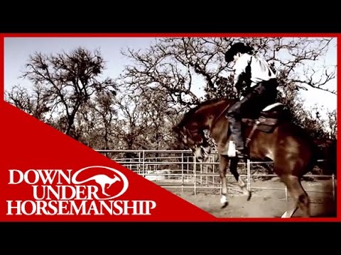 Clinton Anderson Presents: The Bucking Stops Here