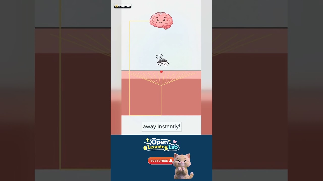 Why Do We Itch? — What it really is 🚀 #Shorts