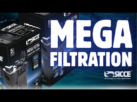 Der ultimative Außenfilter für Süßwasseraquarien? (Sicce Mega Filtra)