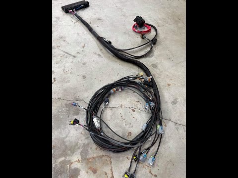 LSX Specialties Custom Holley engine harness