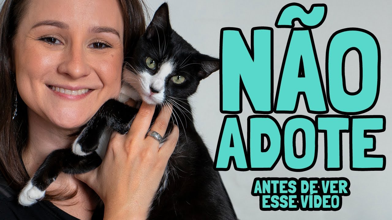 Não ADOTE um GATO Antes de Ver Esse Vídeo - Ju Almeida Pet