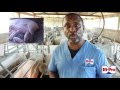 Reducing Piglet Mortality