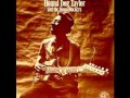 Hound Dog Taylor And The HouseRockers - Fender Bender