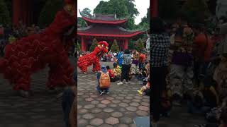 Download lagu Barongsai perayaan imlek #sampokong #semarang #imlek2022 mp3
