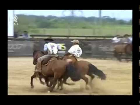 Bocal de Ouro – 1° e 2° lugar machos – Harmonia Ultimato e Feitiço Cavalera