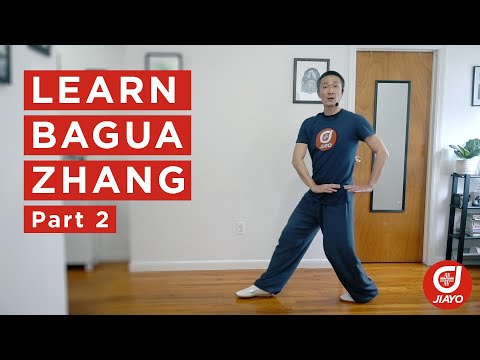 Learn Bagua Zhang with Brandon Sugiyama - Part 2